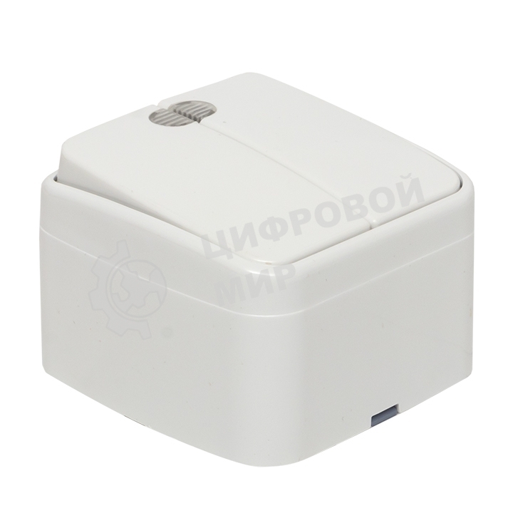 Выключатель 2-клавишный ОП 10А с индикатором белый EKF Basic Минск