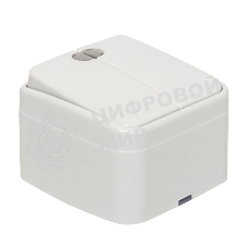 Выключатель 2-клавишный ОП 10А с индикатором белый EKF Basic Минск