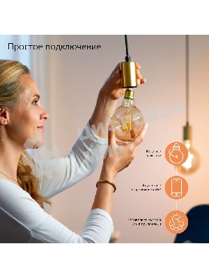 Лампа светодиодная филаментная Gauss Smart Home DIM E14 C35 4,5 Вт 1/10/40