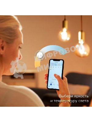 Лампа светодиодная филаментная Gauss Smart Home DIM+CCT E14 CF35 4,5 Вт 2000-6500 К 1/10/40
