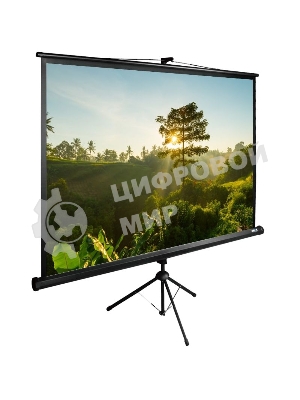 Экран Cactus 200x200 см TriExpert CS-PSTE-200х200-BK 1:1 напольный рулонный