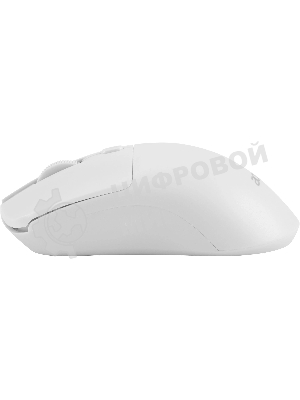 Мышь Acer OMR501 белый оптическая 1600dpi silent беспров. USB 4but (ZL.MCE11.018)