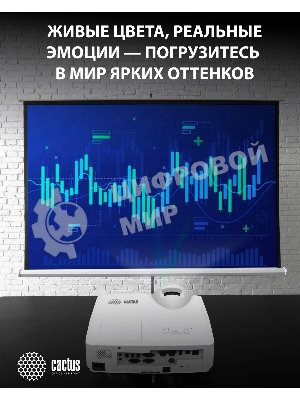 Проектор Cactus Bright CS-V3.WT 3LCD 4000Lm ANSI (1280x800) 30000:1 ресурс лампы:10000часов 1xUSB typeA 1xUSB typeB 2xHDMI 4кг