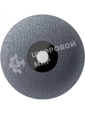 Микрофон Sber SDMIC-001