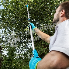 Плодосъемник механический LUXE Palisad 1900 мм, алюминиевая штанга