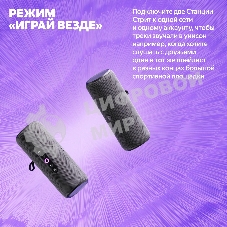 Умная колонка Yandex Стрит Алиса черный 30W 2.0 BT/Wi-Fi 10м 3300mAh (YNDX-00030BLK)