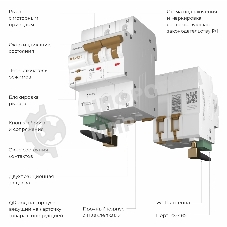 Умный автоматический выключатель Werkel 2 P  63 A  C  6 kA W1002P6301