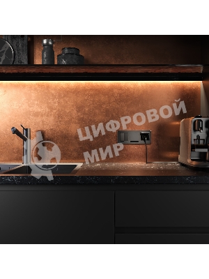 Розетка влагозащ. с зазем. с защит. крышкой и шторками N WERKEL (черный матовый) W1171208