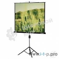 Экраны LUMIEN Lumien Экран на треноге 180x180 см Eco View LEV-100102 1:1 с возможностью настенного крепления