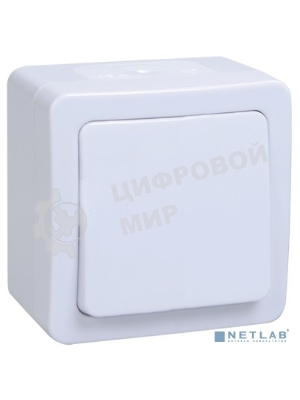 Выключатель 1-кл. ОП ГЕРМЕС PLUS 10А IP54 ВСп20-1-0-ГПБ проход. белый IEK EVMP12-K01-10-54-EC