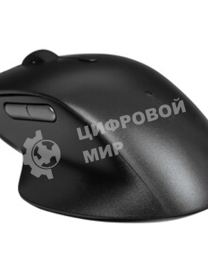 Мышь проводная Rapoo N500 черный, 3600 dpi, USB, кнопки - 6