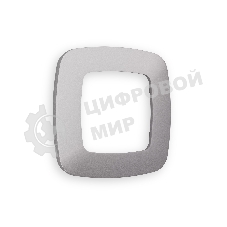 Рамка OMEGA Ecta (Сталь матовый) 1-ая OF140501