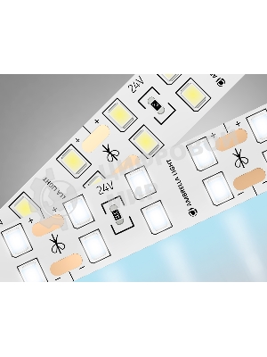 Светодиодная лента Ambrella light GS3603 2835 204Led/ 20W m/ 24V IP20 6500K/ 5000*14*1.2mm (2 конт.)