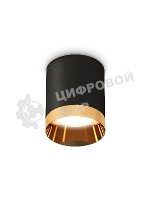 Светильник Ambrella Light XS6302024 SBK/PYG черный песок/золото желтое полированное MR16 GU5.3 (C6302, N6134)