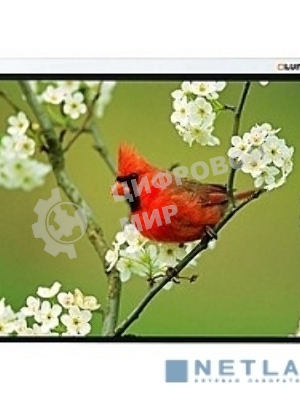 Экран Lumien 115x180 см Master Picture LMP-100131 16:10 настенно-потолочный рулонный