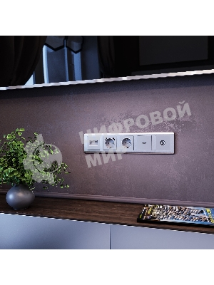 Розетка двойная Werkel Ethernet RJ-45 (серебряный) W1181106