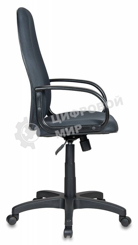 Кресло руководителя Бюрократ CH-808AXSN/TW-12 серый TW-12