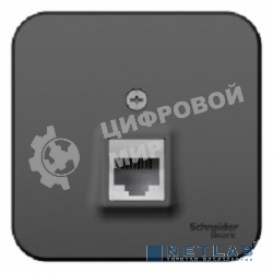 Розетка компьютерная Schneider-electric BLNIA045006 Blanca О/У RJ45, кат.5E, антрацит