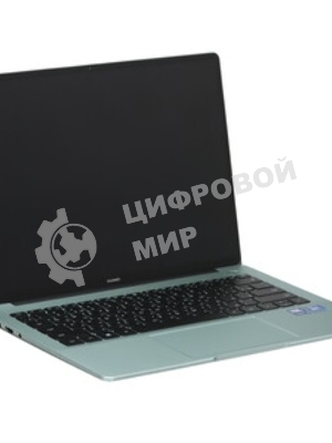 Ноутбук Huawei FLMH-X FlemingH-W5651T/14