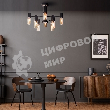 70125/8 / потолочный светильник / черный Smart