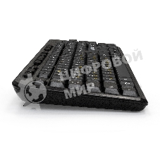 Клавиатура проводная ExeGate Multimedia Professional Standard LY-500M (EX286177RUS) проводная, USB, черный