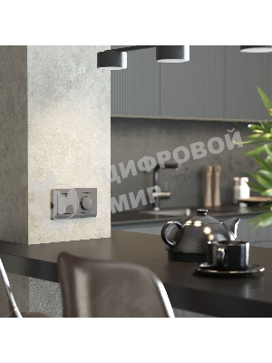 Рамка на 2 поста WERKEL Stark (графит матовый) W0021864