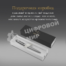 Ручка шариковая Parker Jotter Monochrome XL SE20 (CW2122756) Stainless Steel, M, синие чернила, подарочная коробка