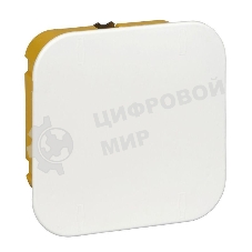 Коробка распр. СП 100х100х50 для г/к SchE IMT35161