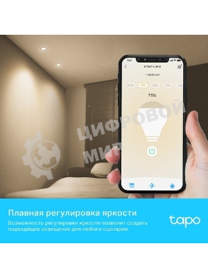 Умная диммируемая Wi-Fi лампа TP-Link Tapo L610