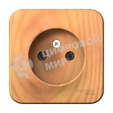 Розетка б/з без шторок 16А, 250 В, изолир. пластина SE Blanca наруж Ясень