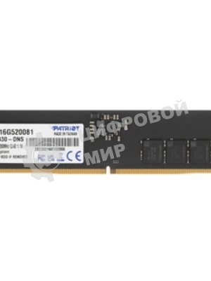 Оперативная память Patriot Signature, DDR5, 16GB (1x16 GB), 5200 MHz, CL42, DIMM
