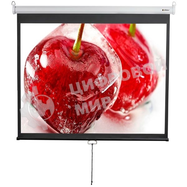 Экран 180x240см Digis Optimal-D DSOD-4304 1:1 настенно-потолочный рулонный