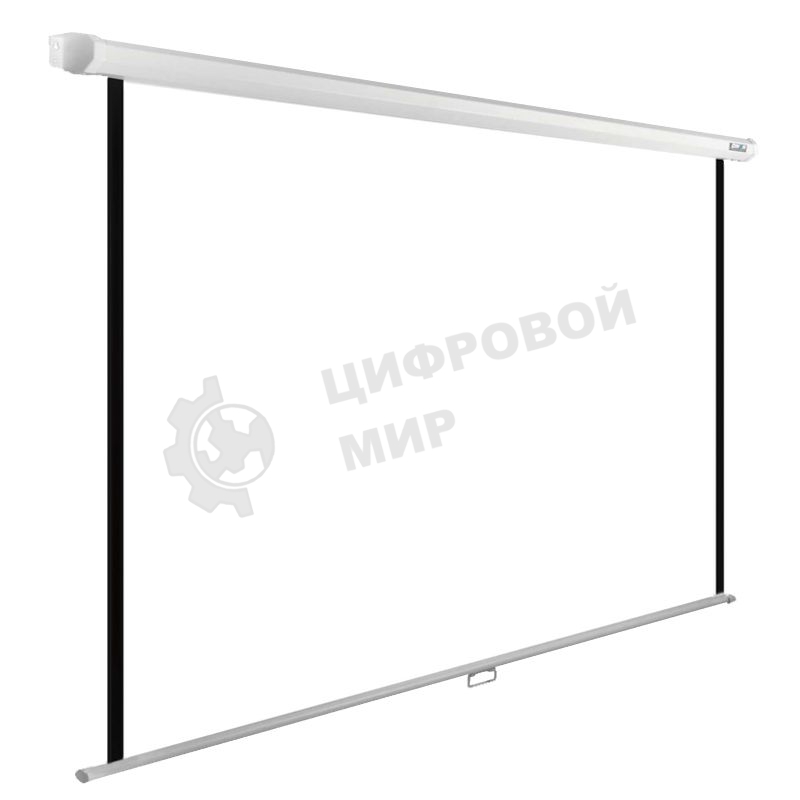 Экран Cactus 220x220см WallExpert CS-PSWE-220x220-WT 1:1 настенно-потолочный рулонный