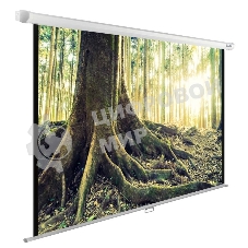 Экран Cactus 220x220см WallExpert CS-PSWE-220x220-WT 1:1 настенно-потолочный рулонный