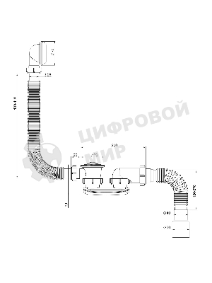 Сифон 
