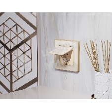 Лицевая панель ALFA (Бежевый матовый) для электрической розетки с/з со шторками и крышкой IP44 QUANT AP3280
