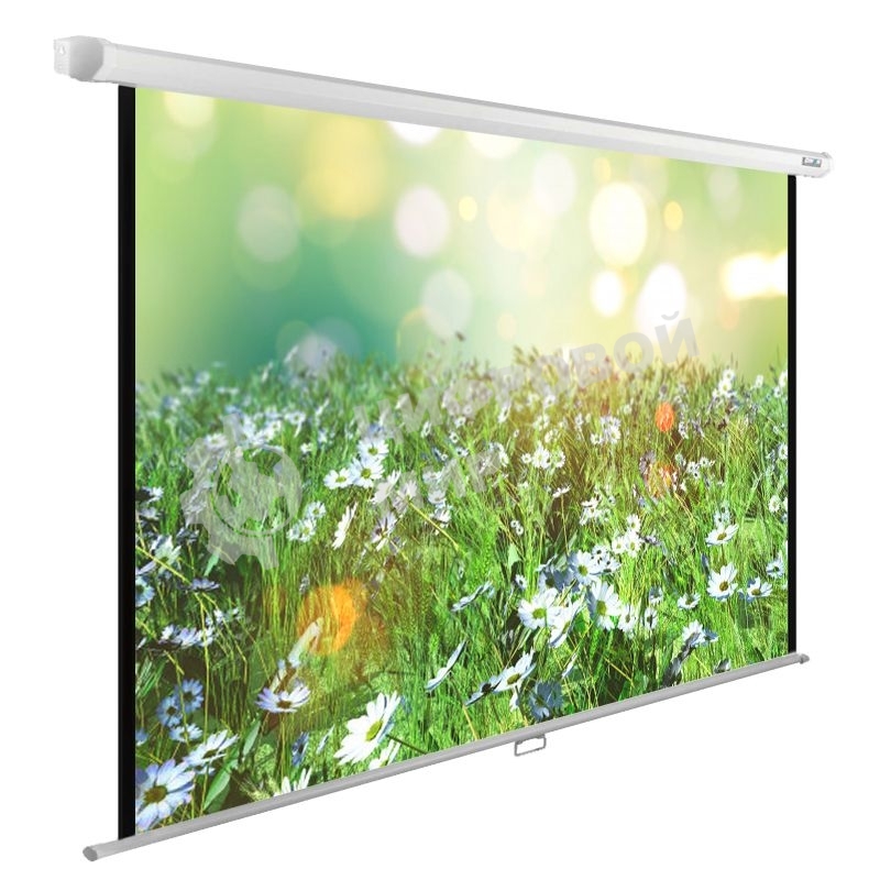 Экран Cactus 200x200 см WallExpert CS-PSWE-200x200-WT 1:1 настенно-потолочный рулонный