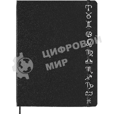 Шильд-символ Moleskine Zodiac Козерог, металл, серебристый, коробка с европодвесом, PINCAPRICORNSILV