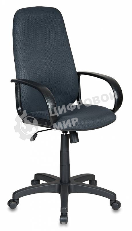 Кресло руководителя Бюрократ CH-808AXSN/TW-12 серый TW-12