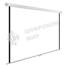 Экран Cactus 125x200см WallExpert CS-PSWE-200x125-WT 16:10 настенно-потолочный рулонный