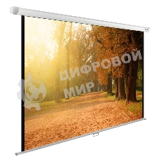 Экран Cactus 125x200см WallExpert CS-PSWE-200x125-WT 16:10 настенно-потолочный рулонный