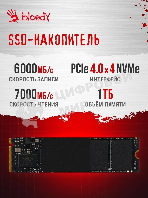 Компьютер Bloody BD-PC CZ79C3 MT i7 14700F (2.1) 64Gb SSD 1Tb RTX 5080 16Gb Win 11H 64 GbitEth 850W черный (2086028)