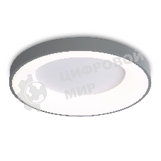 Потолочный светодиодный светильник Ambrella light FZ1402 GR серый IP20 48W 3000K-6500K D500*50 (ПДУ ИК)