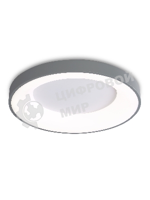 Потолочный светодиодный светильник Ambrella light FZ1402 GR серый IP20 48W 3000K-6500K D500*50 (ПДУ ИК)