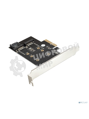 Переходник ExeGate EXE-509 M.2 B key + M.2 M Key -> PCI-Ex4/SATA
