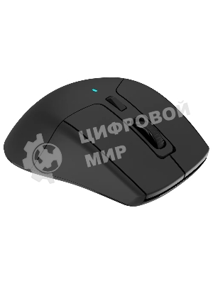 Мышь беспроводная Acer OMR150 черный, 1600 dpi, радиоканал, USB, кнопки - 6