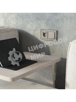 Накладка для розетки USB WERKEL (дымчатый) W1279504