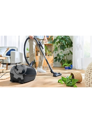 Пылесос Bosch BGL38GOLD черный/золотистый, 350/1700 Вт, уборка сухая, пылесборник мешок 4 л