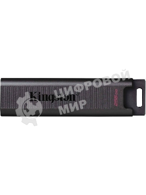 Флешка USB Kingston DataTraveler Max (DTMAX/256GB), 256Gb, USB 3.2 Gen 2 Type-C, R/W 1000/900, черный