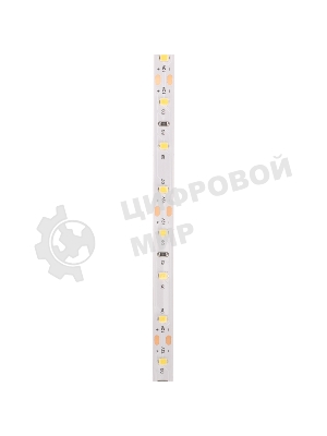 Лента светодиодная Rexant 12В, SMD2835, 9,6Вт/м, 60 LED/м, 6500K, 8мм, 5м, IP20